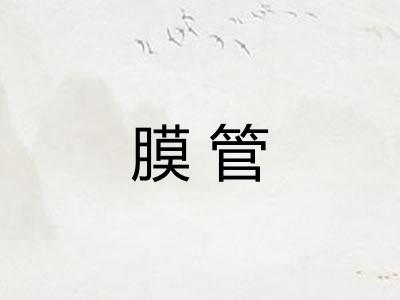 膜管