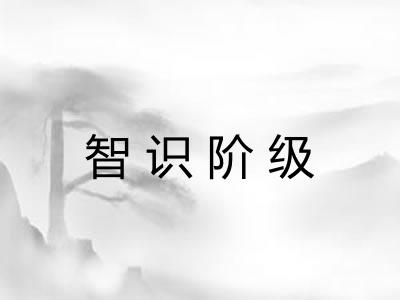 智识阶级