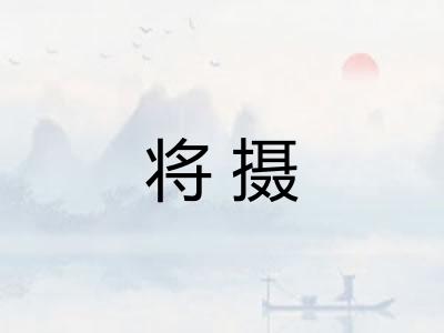 将摄