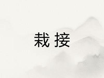 栽接