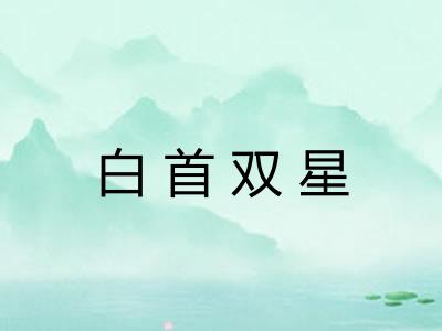 白首双星