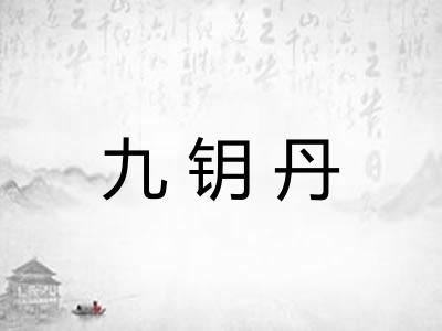 九钥丹