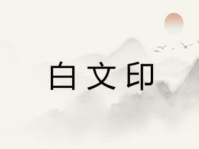 白文印