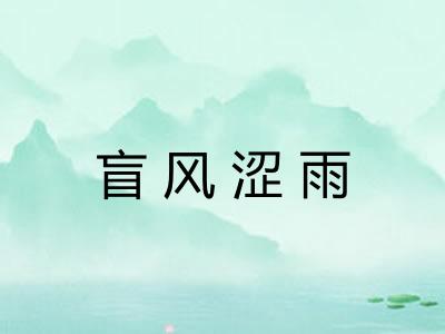盲风涩雨