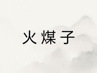 火煤子