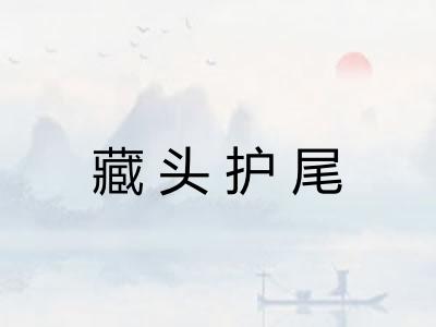 藏头护尾