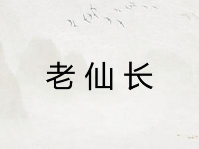 老仙长