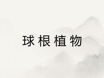 球根植物