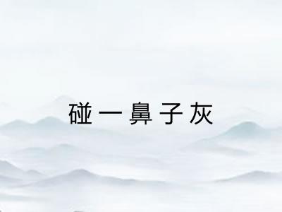 碰一鼻子灰