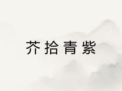 芥拾青紫