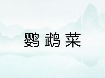 鹦鹉菜