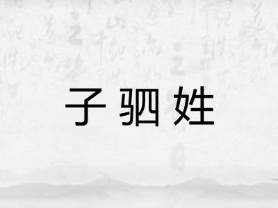 子驷姓