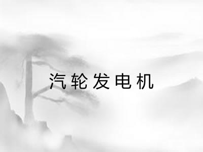 汽轮发电机