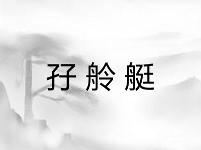 孖舲艇