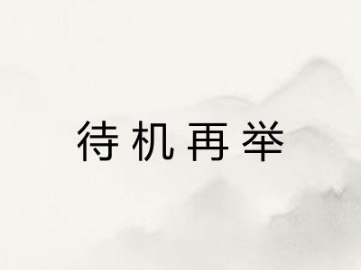 待机再举
