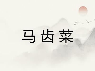 马齿菜