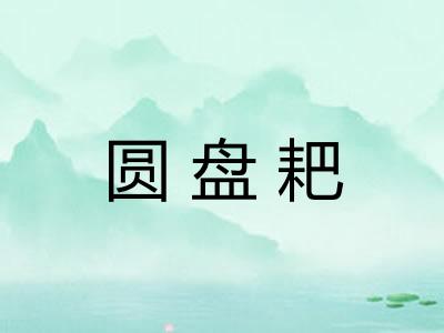 圆盘耙