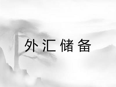 外汇储备