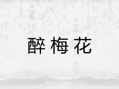 醉梅花