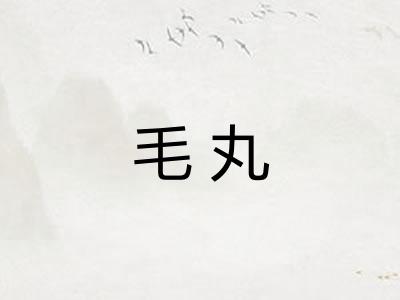 毛丸