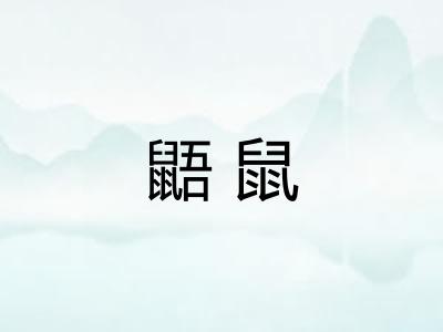 鼯鼠