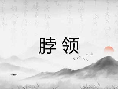 脖领