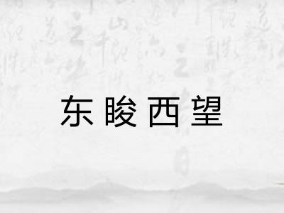 东睃西望