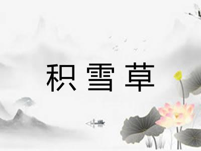 积雪草 积雪草