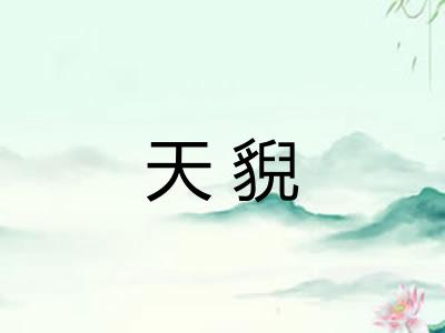 天貎