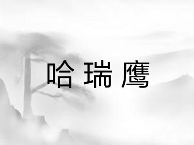 哈瑞鹰