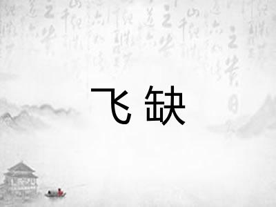 飞缺