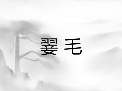 翣毛