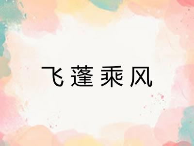 飞蓬乘风
