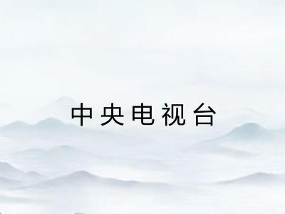 中央电视台