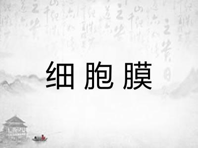 细胞膜