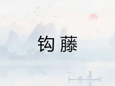 钩藤