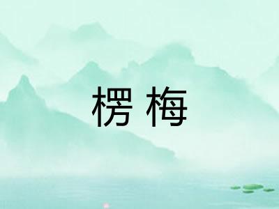 楞梅
