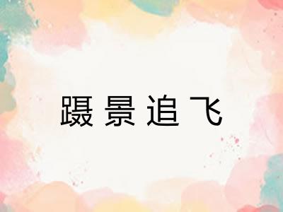 蹑景追飞