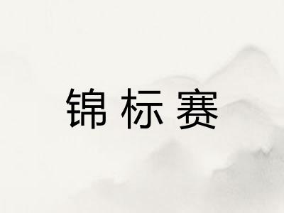 锦标赛