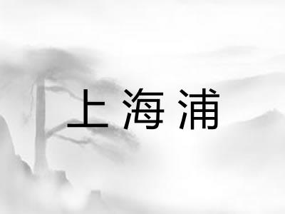 上海浦