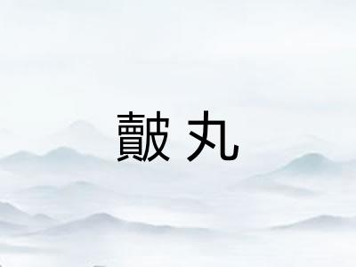 皾丸