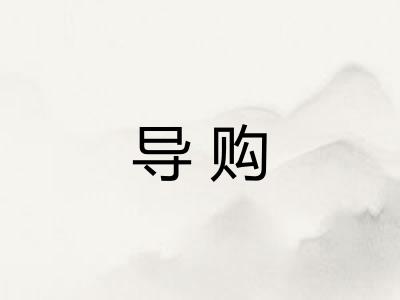 导购