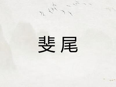 斐尾