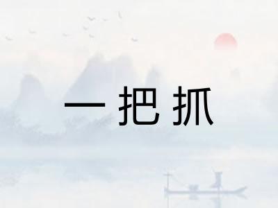 一把抓