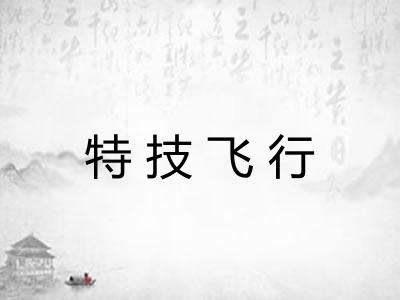 特技飞行