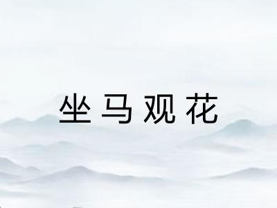 坐马观花