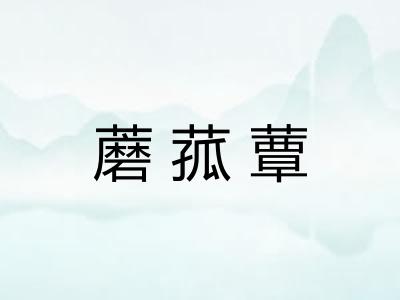 蘑菰蕈