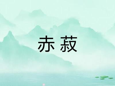 赤菽