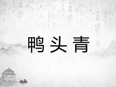 鸭头青