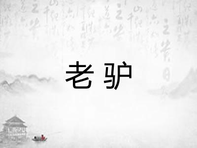 老驴